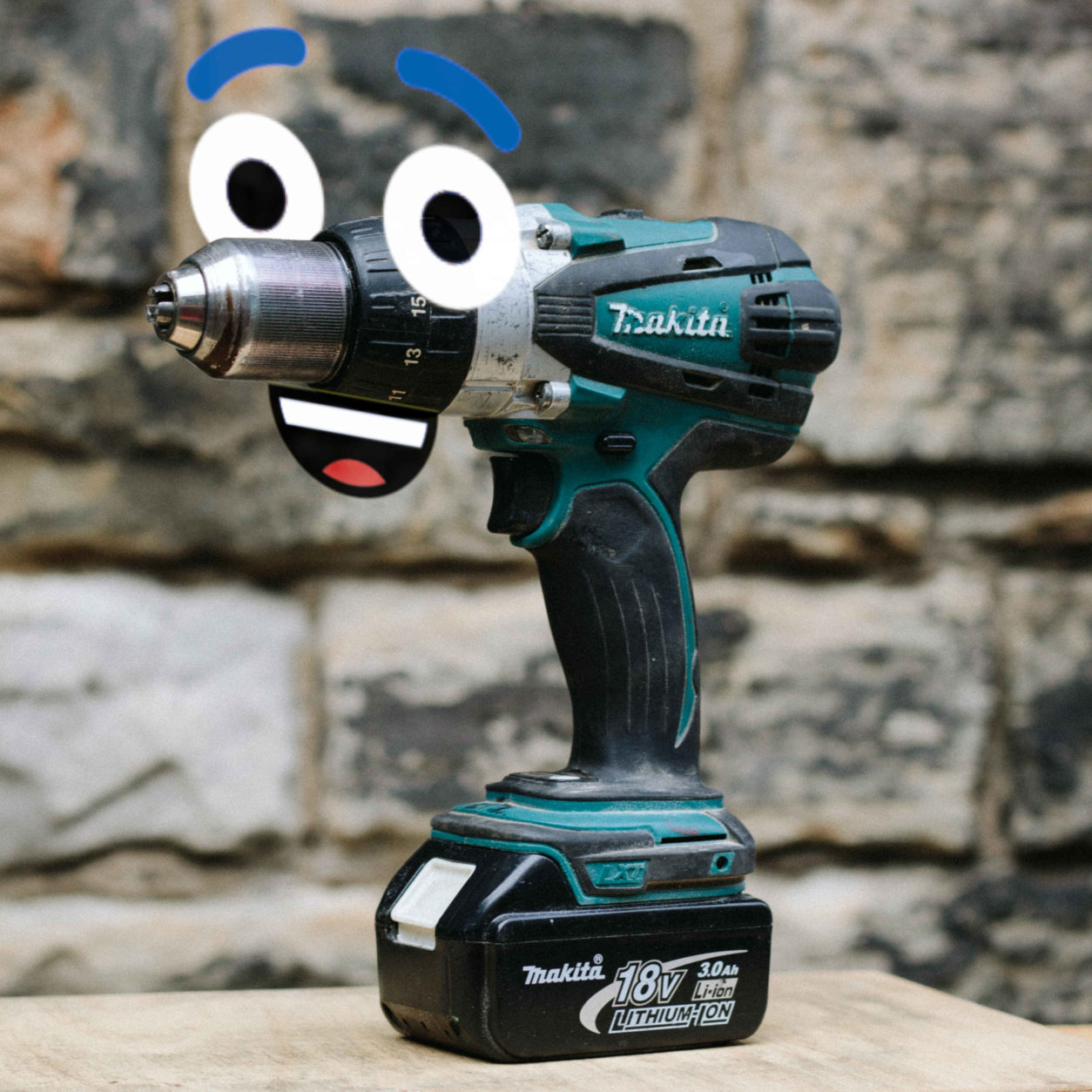 Photo of Roger the Cordless Drill