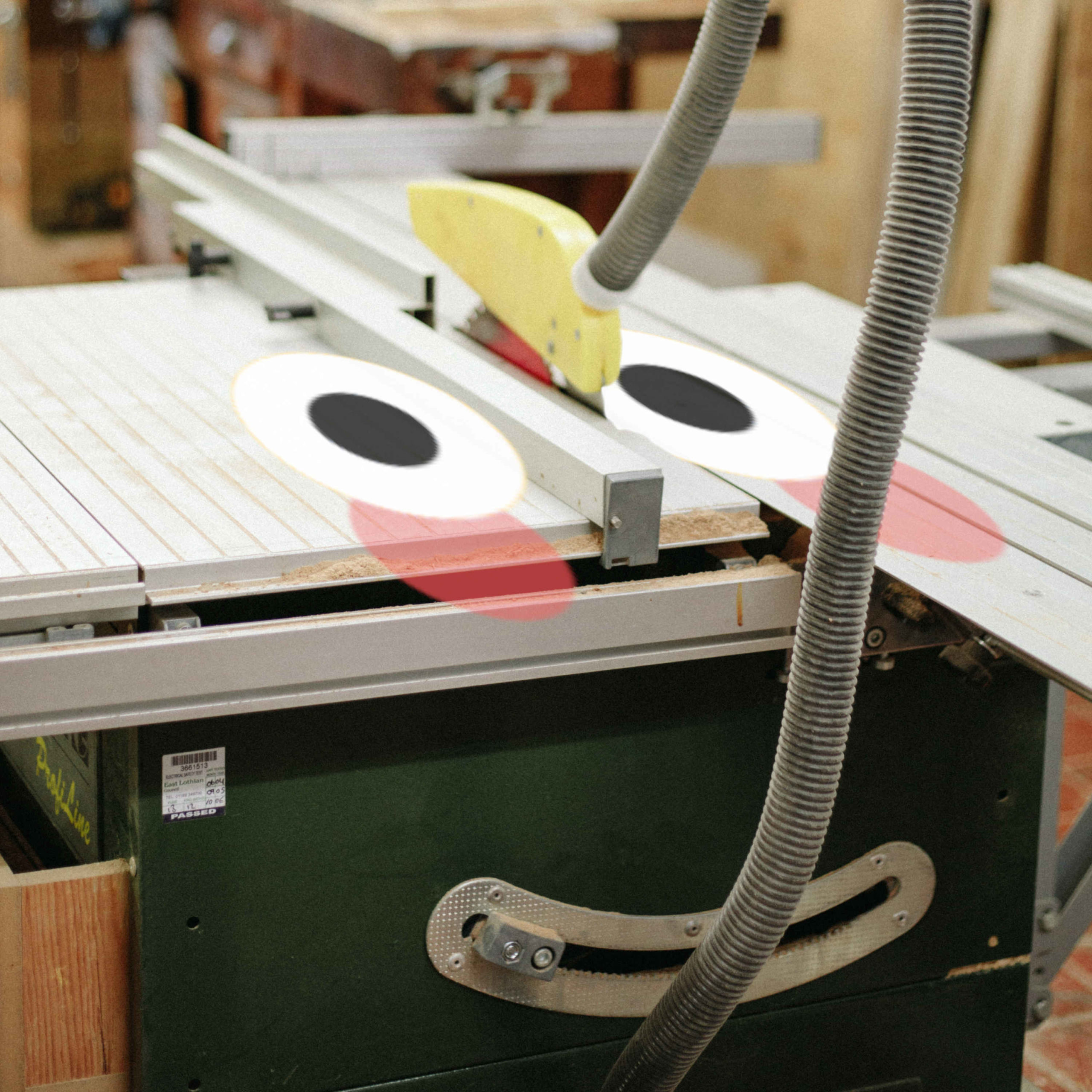 Photo of Louisa the Table Saw