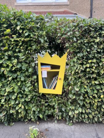 Little Free Libraries 12